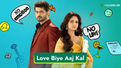 Love Biye Aaj Kal Serial